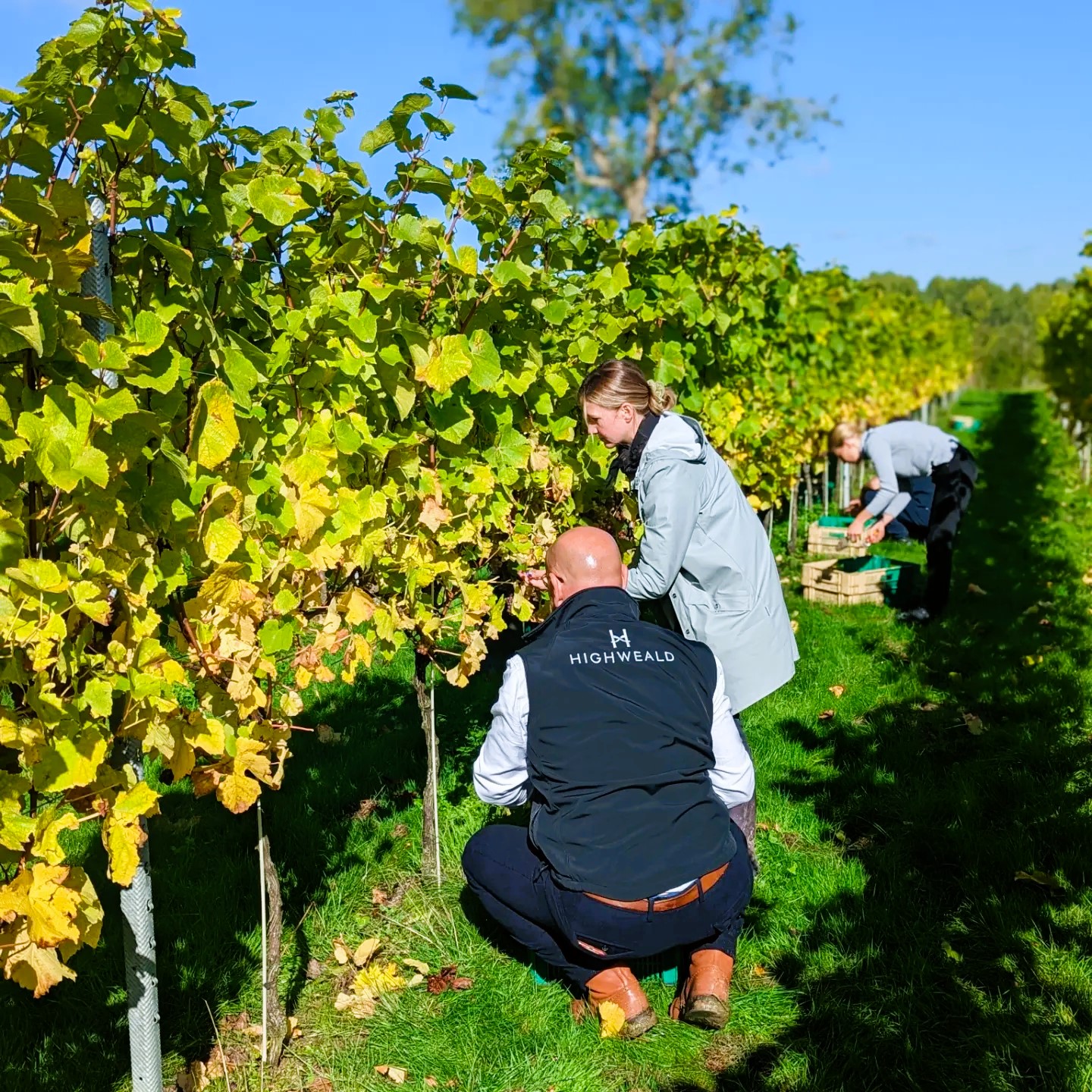 people on a English vineyard tour
