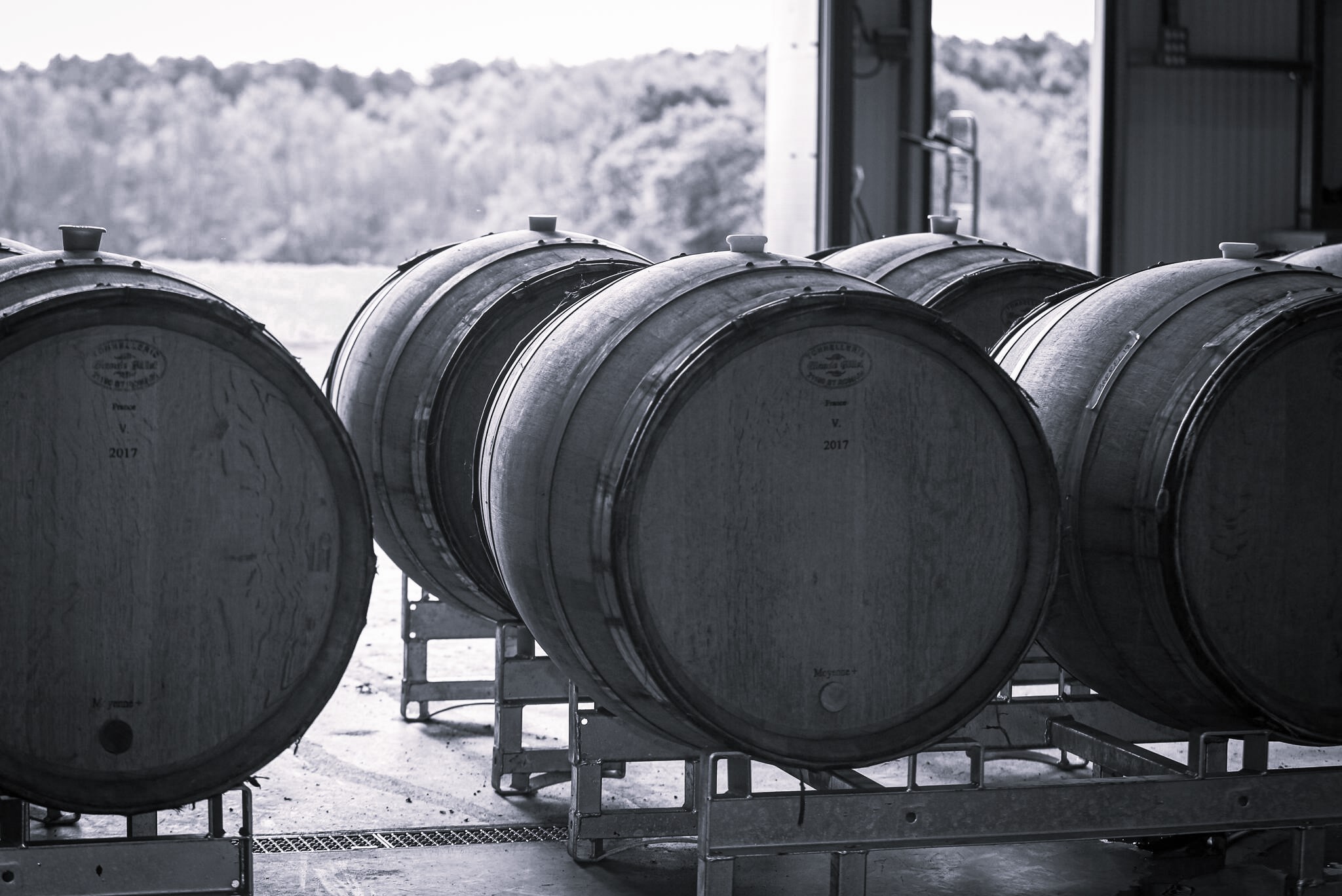 wine ageing in barrels in English winery